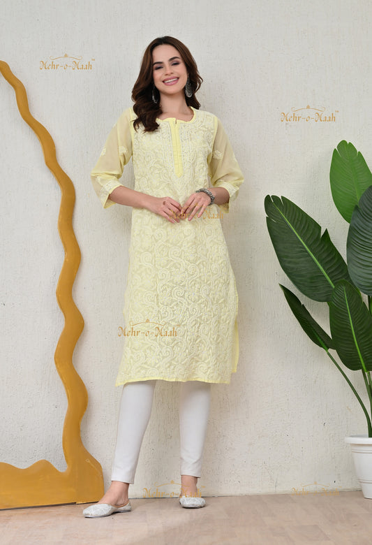 Anika Cotton Chikankari kurti