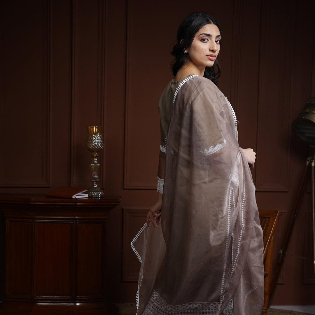 Ameerah Raw Silk Pakistani Suit